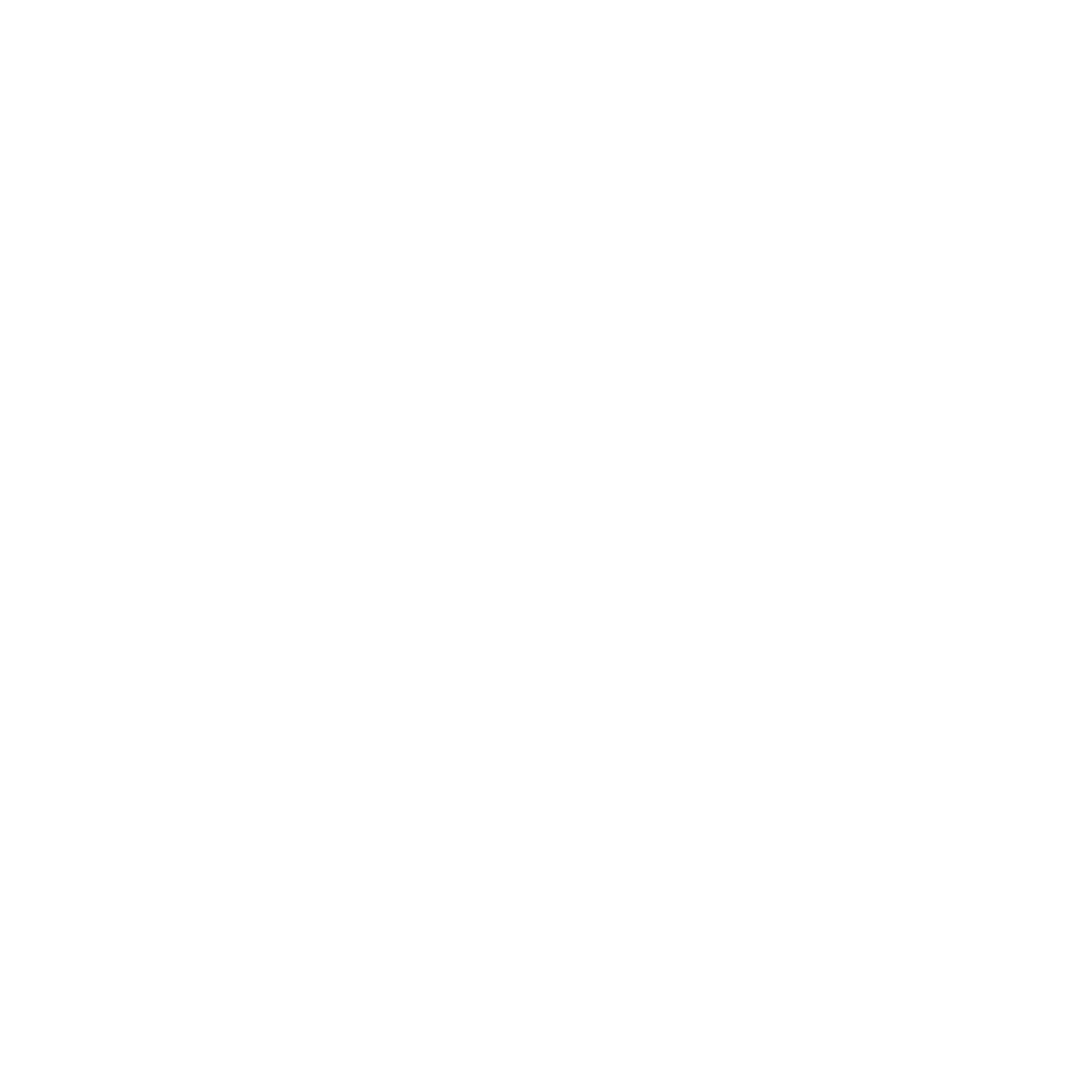 ArakanRemit logo